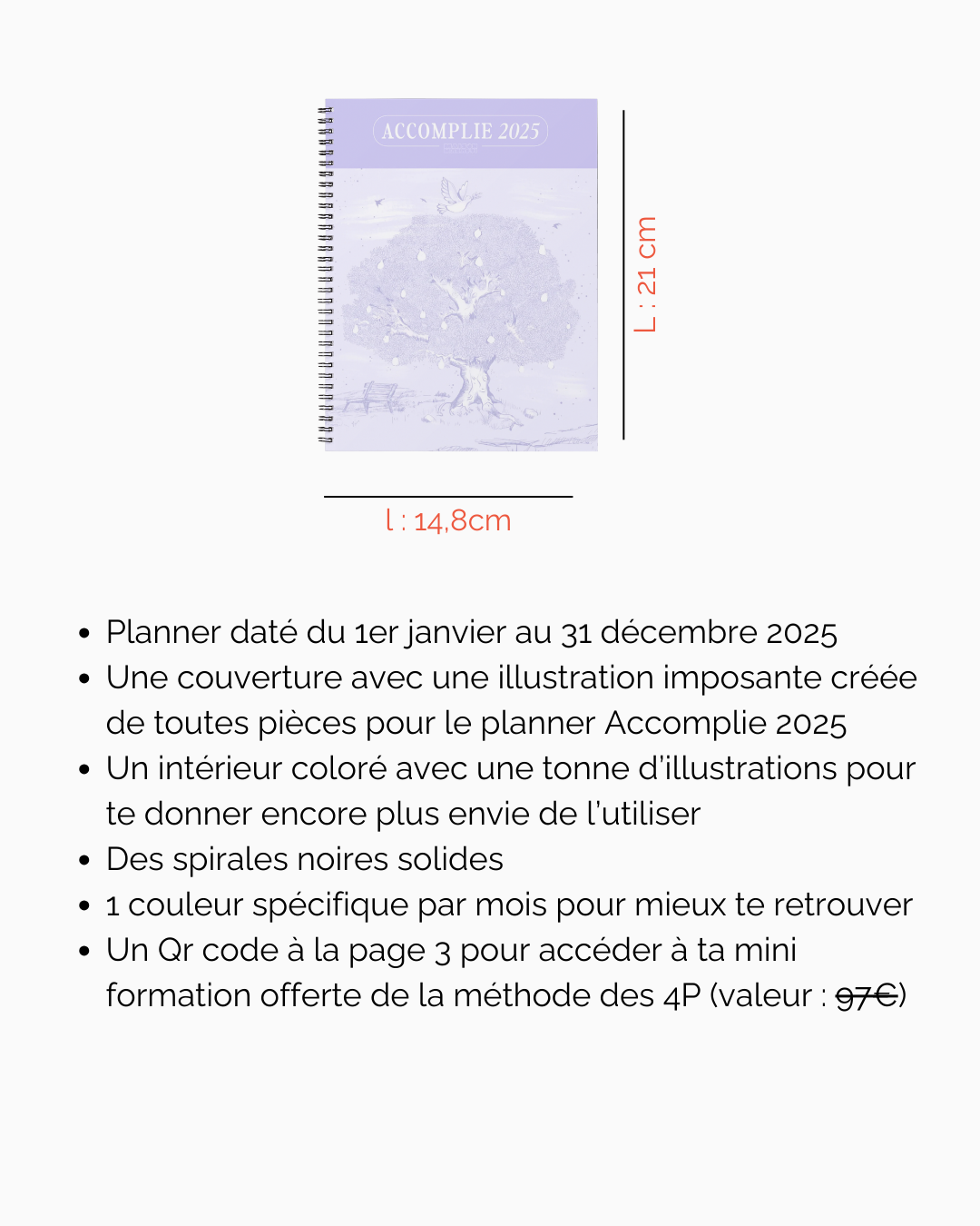 Planner Accomplie 2025 (version papier)