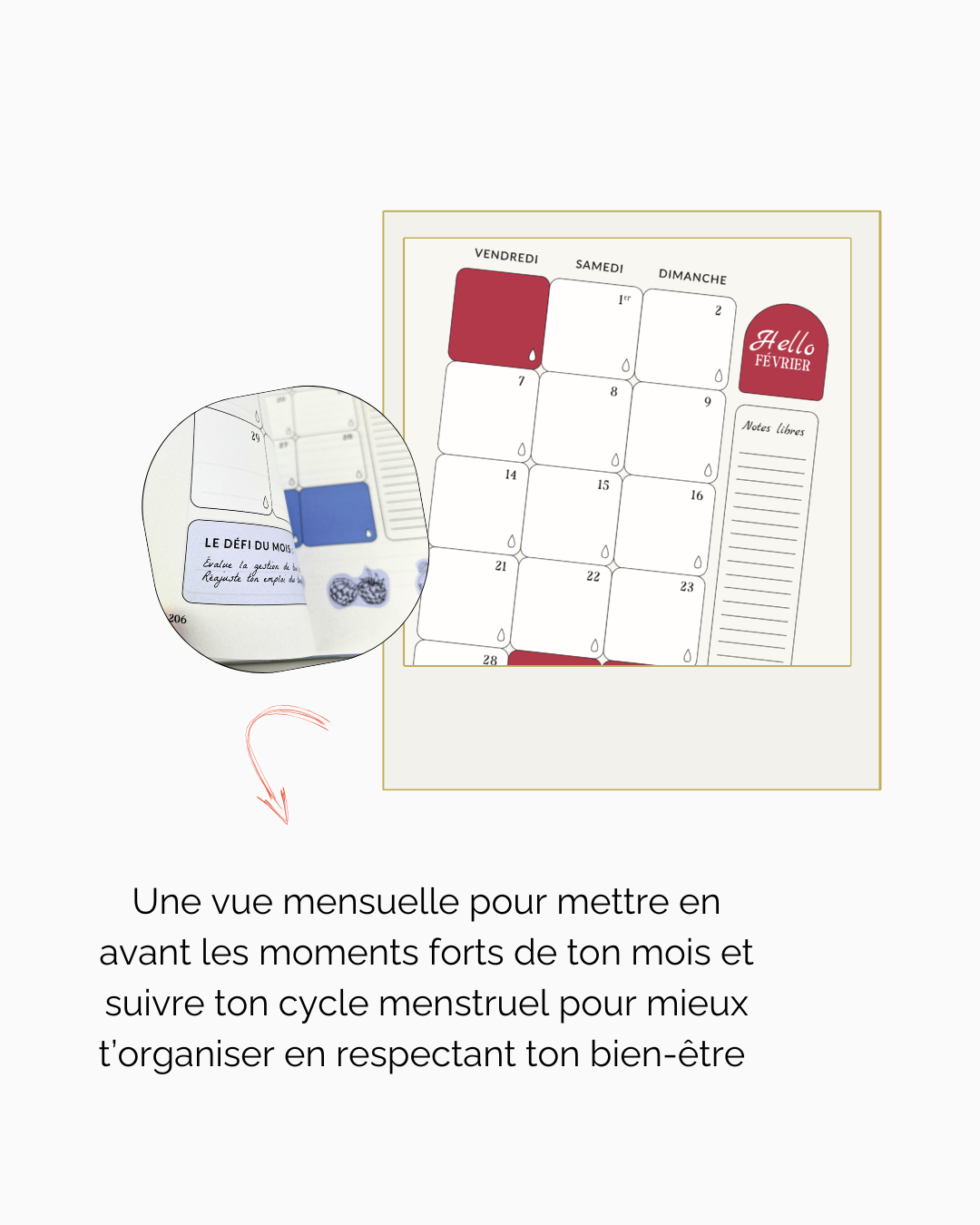 Planner Accomplie 2025 (version papier)
