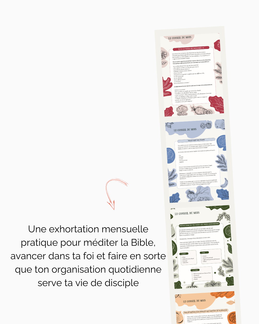 Planner Accomplie 2025 (version papier)