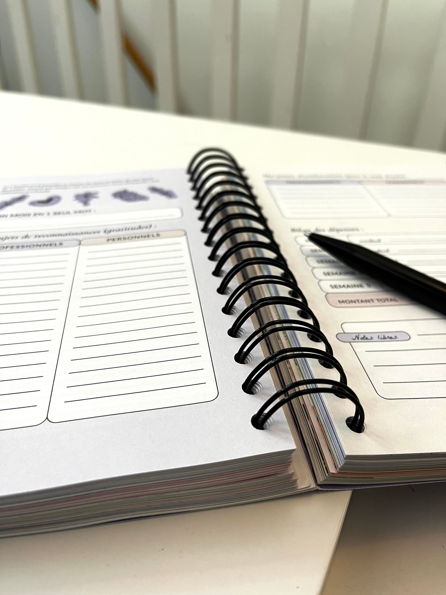 Planner Accomplie 2025 (version papier)